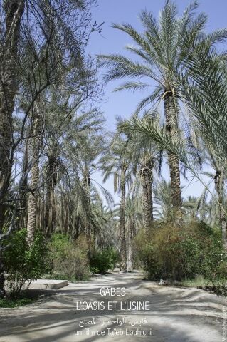  Gabès, l'oasis et l'usine de Taïeb Louhichi